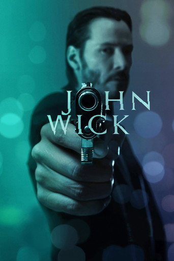 John Wick (2014) Hindi Dubbed