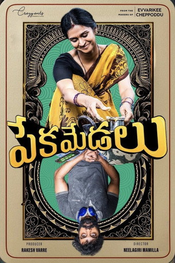 Pekamedalu (2024) HQ Hindi Dubbed